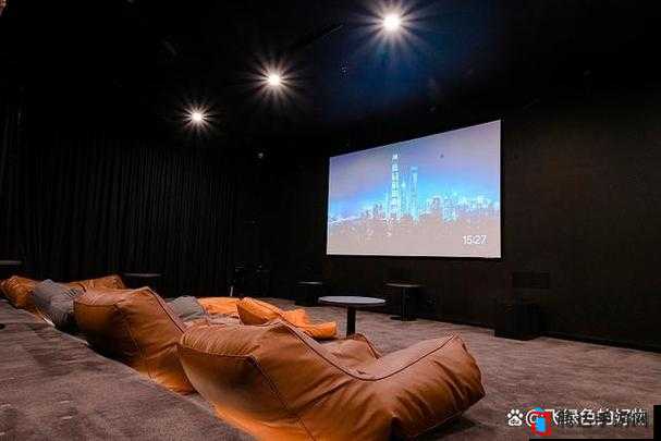 私人家庭影院 3355 :打造极致视听盛宴的私人空间