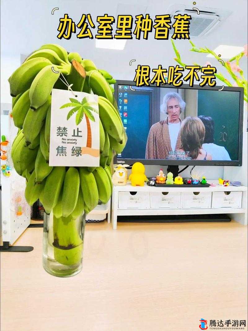 香蕉榴莲秋葵绿巨人 WWW 带来的奇妙体验与独特感受