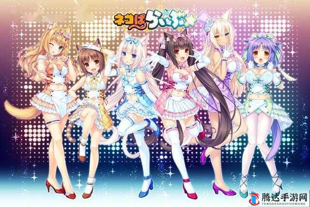 拔萝卜新体验:和猫**奇妙冒险