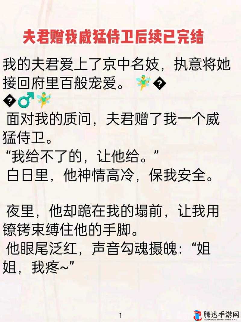第 7 章：夫君的特别礼物：威猛侍卫的秘密使命