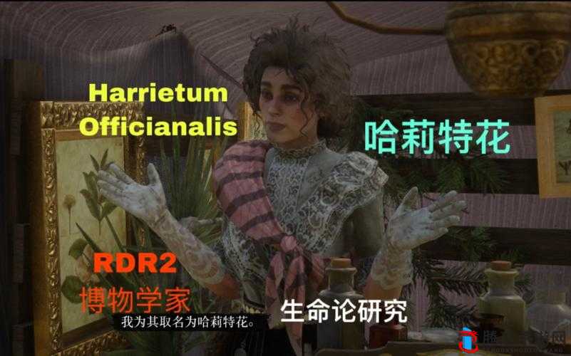 荒野大镖客OL博物学家怎么玩,博物学家获得经验的攻略分享