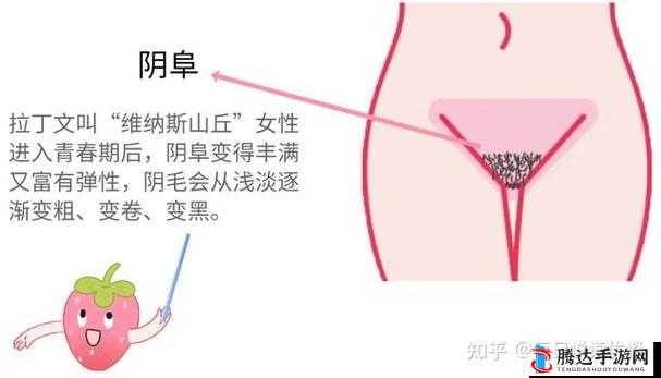 大荫蒂女人:神秘而迷人的毛茸茸的存在