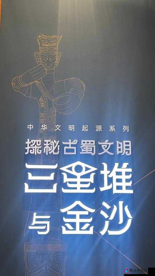 jw7707c 中文:探索其背后的神秘语言世界