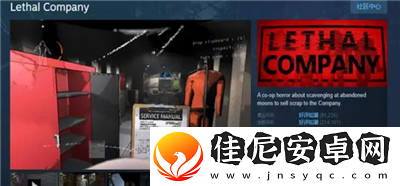 致命公司STEAM叫什么