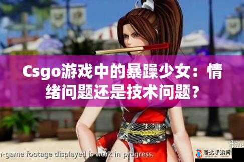 十九岁暴躁少女 csgo 免费观看:精彩游戏对战不容错过