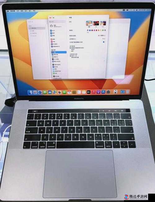 19 岁 MacBookPro 在欧美市场的发展历程-从诞生到辉煌的详细解读