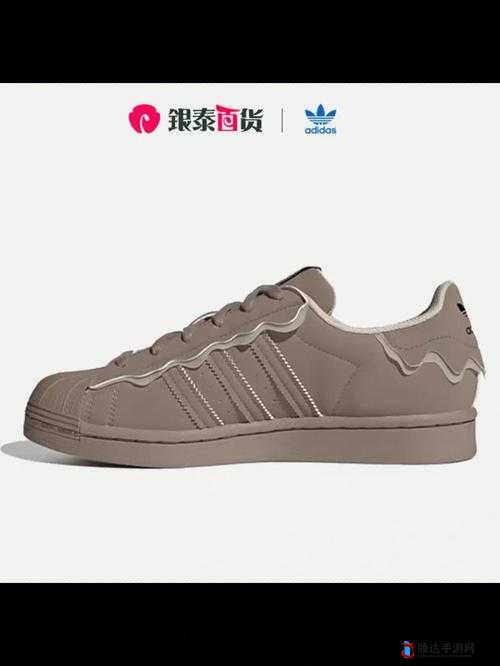 三叶草 gw5856:一款独具特色的优质产品介绍