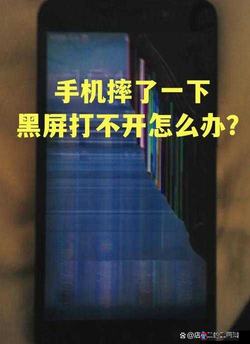 双人成行黑屏怎么办?黑屏解决方法介绍