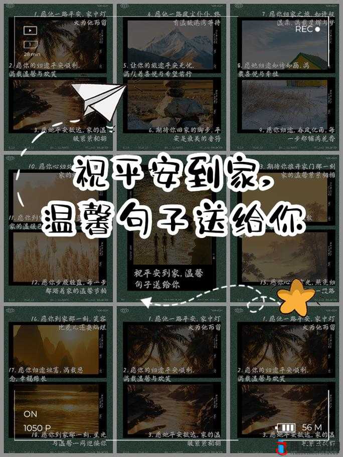 小草 2024 回家不迷路:愿你一路平安顺利到家与家人团聚