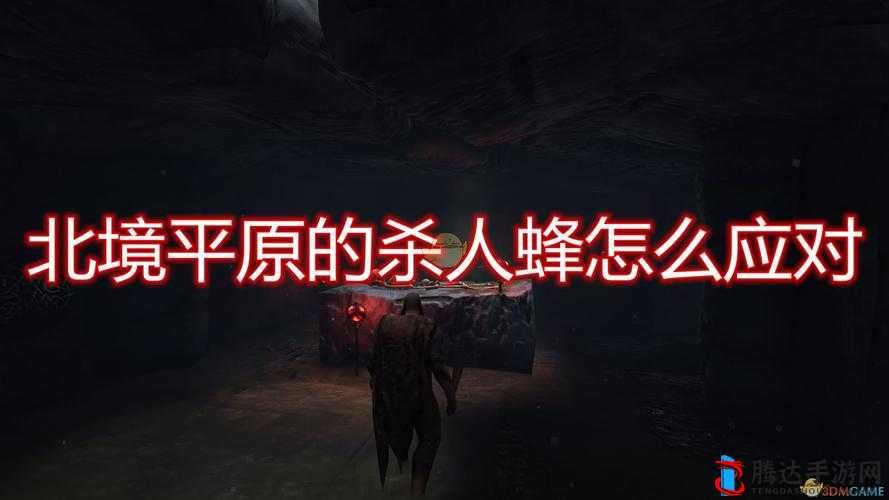Valheim**蜂怎么应对,详细应对方法介绍