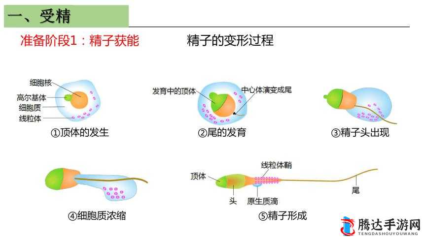 系统需要收集 n 多**:探寻背后的神秘目的和意义