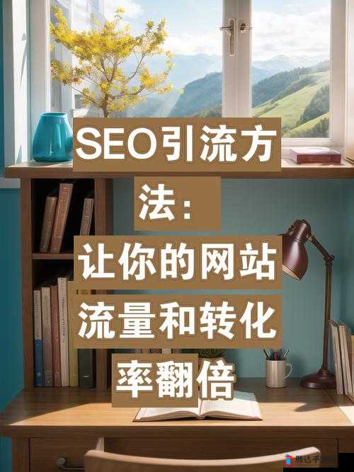SEO 短视频网页入口引流技巧之如何有效提升流量与转化率