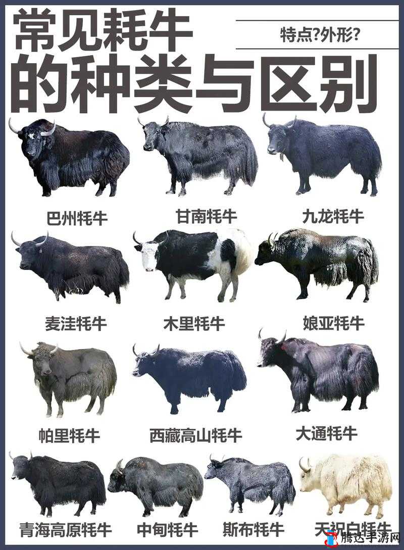 英灵神殿牦牛怎么养,Valheim牦牛驯养心得分享