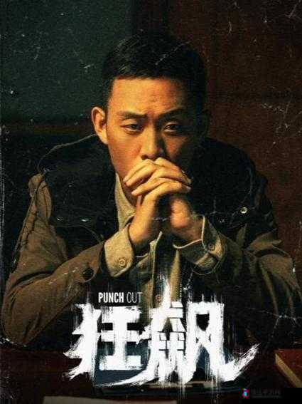 无人在线观看免费高清老年电视剧狂飙:一部充满热血与激情的年代传奇