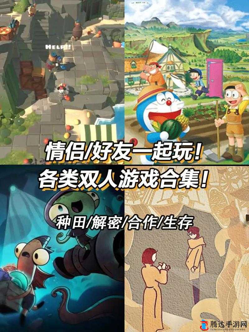 双人成行联机教程,轻松上手,欢乐加倍