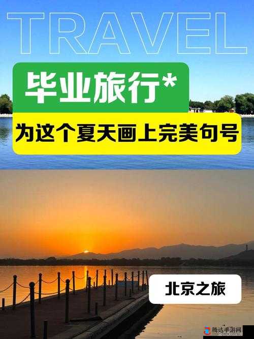 爱情岛论坛路线一详细探索之旅:全方位解读该路线精彩内容