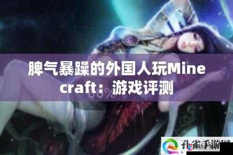 暴躁老外玩 Minecraft:老外为啥这么暴躁?票房为何居高不下?
