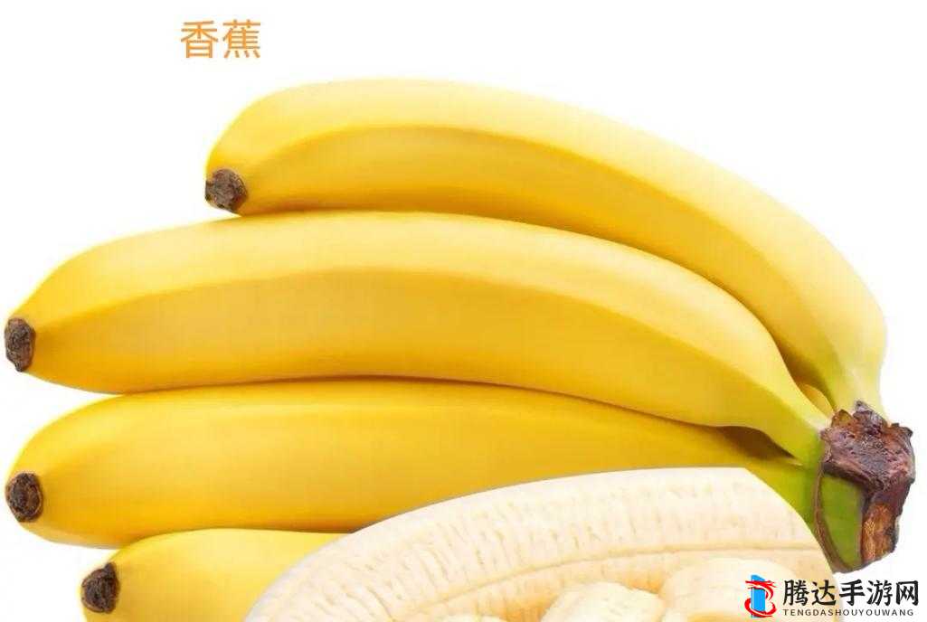 香蕉丝瓜草莓樱桃草莓榴莲:多种水果的奇妙组合与美味之旅