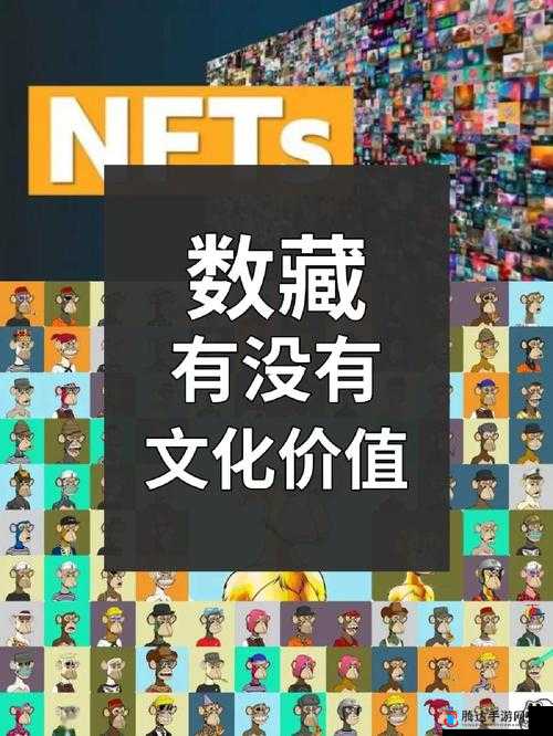 国内稀缺呦 XXX 的独特魅力与价值呈现