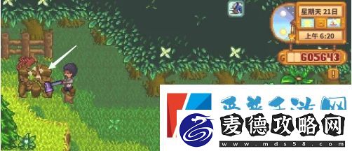 星露谷物语自动抚摸机获得方法详细介绍