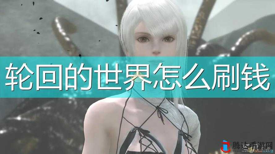 尼尔:伪装者轮回的世界刷钱详细方法介绍