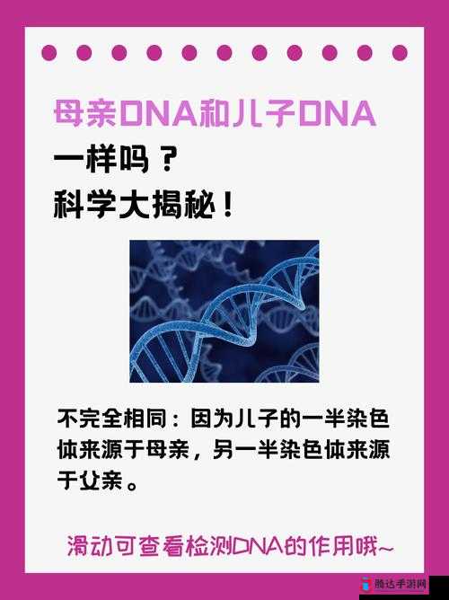 DNA 定亲缘:母亲和儿子的基因奥秘