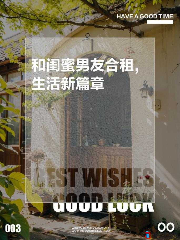 东莞合租 1―20 :开启温馨合租生活新篇章之探索