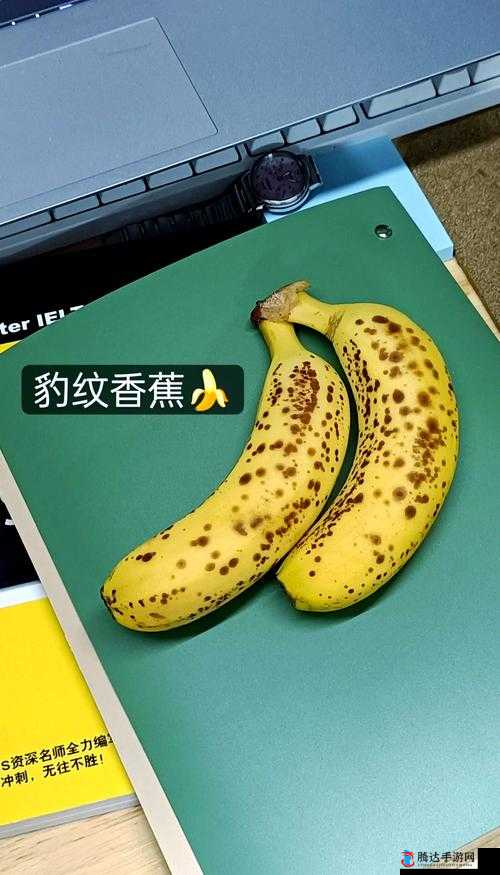 香蕉黄瓜丝瓜水蜜桃豆奶的奇妙组合与营养解析