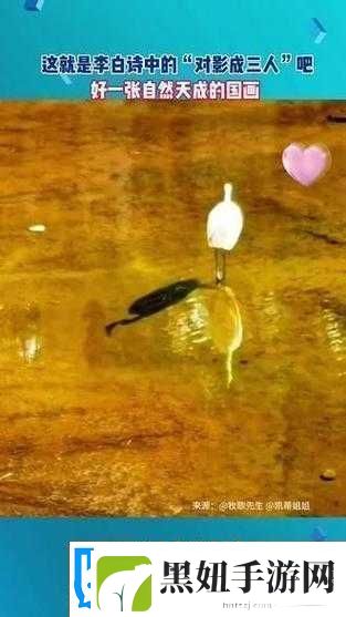 影之诗深渊鬼克星