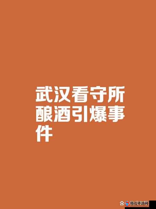 国产 99 大神:揭秘网络热点背后的真相
