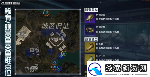 星球重启稀有鱼群怎么获得