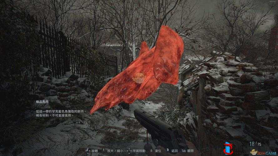 生化危**极品鸟肉,解锁你的角色潜能
