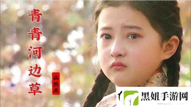 青青河边草免费观看电视剧
