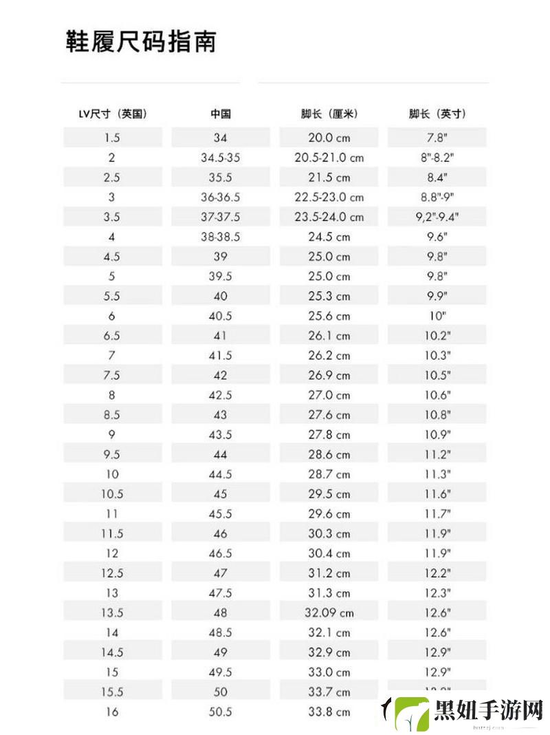 内容丰富欧洲尺码、日本尺码、美国尺码及欧洲LV解析