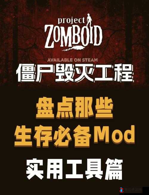 僵尸毁灭工程超重困扰?这些方法让你轻松减负!