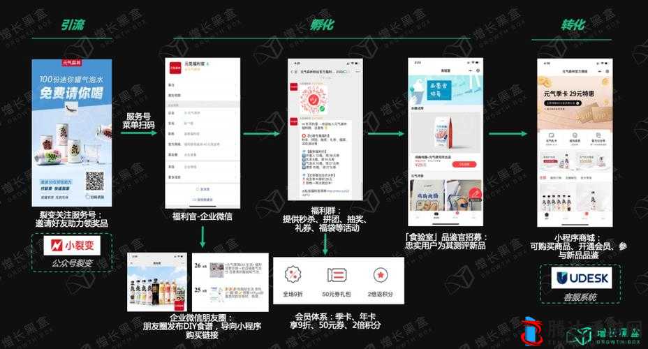 70 岁以上森林交易价格表：全面解读与详细分析