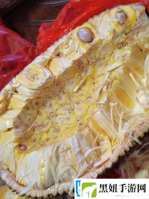 菠萝蜜老版本在线观看