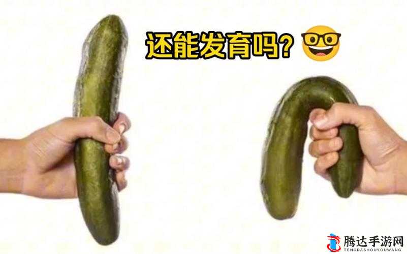 男生将坤坤视为赛季女生这一独特现象探讨