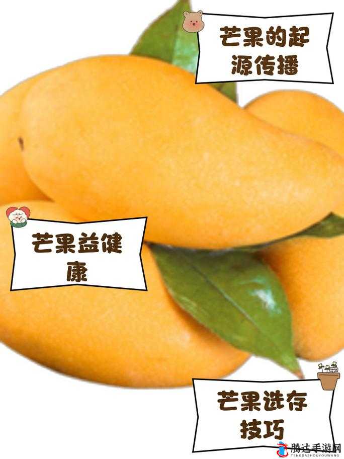 芒果日产一二三四:探秘其背后的生产奥秘与独特魅力