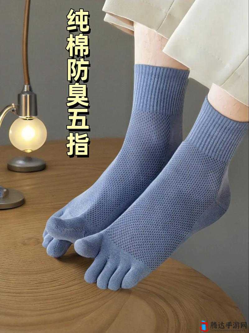 五指棉袜多少钱一双:时尚舒适,性价比高