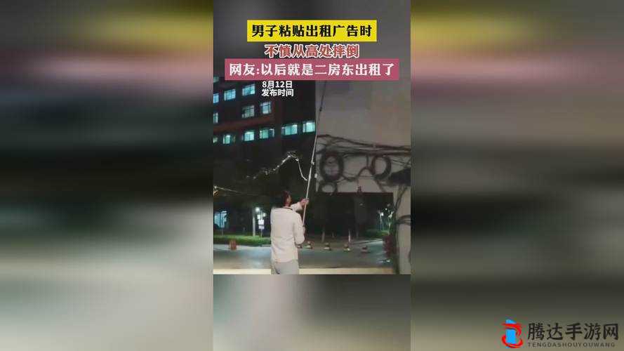 苏州晶体有限公司 ISO 引领行业发展新高度