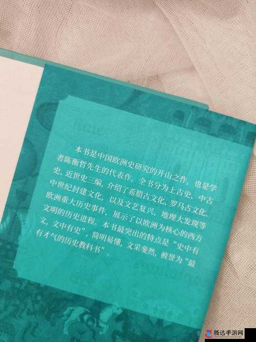 欧洲wwwsss:探索其背后的神秘文化与历史传承