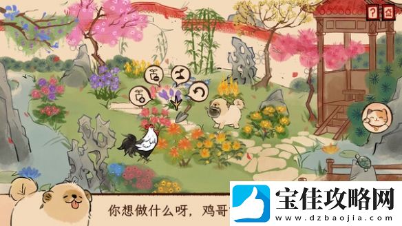 厉不厉害你鸡哥