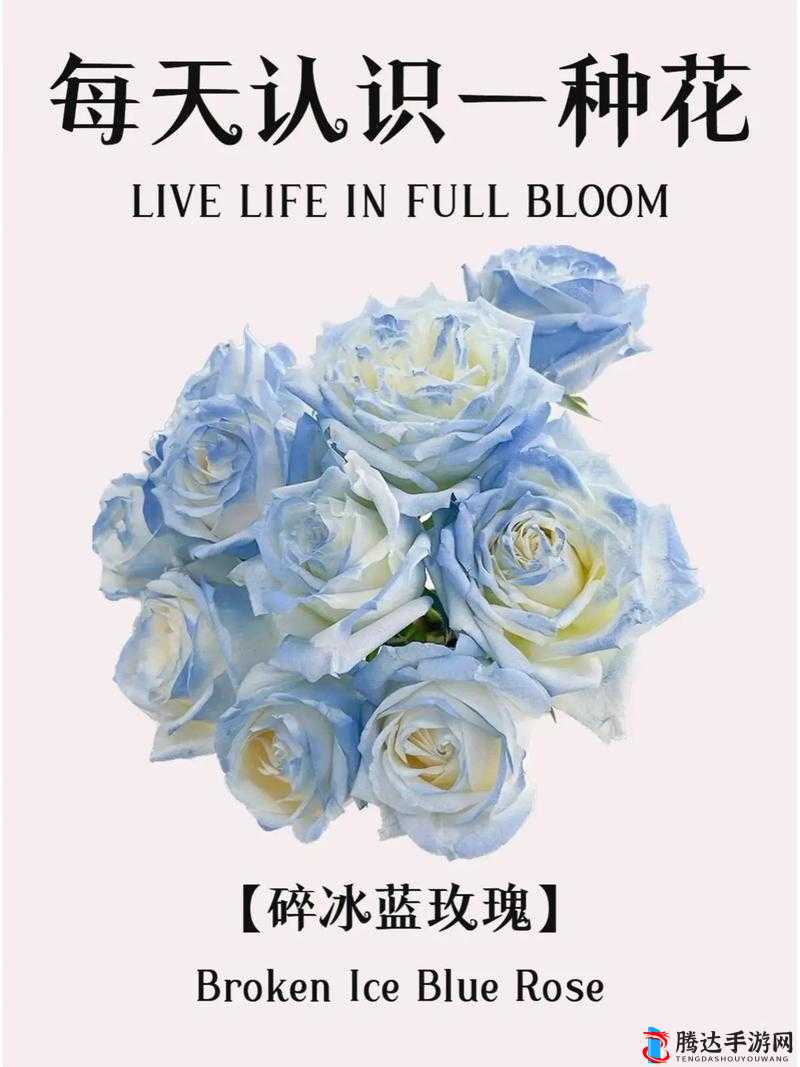 十二分钟园丁成就解锁秘籍,从破碎花瓶到繁花似锦