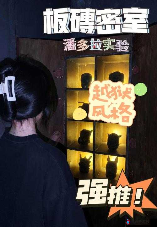 房间里的秘密 2:探寻那隐藏在房间深处的未知之谜