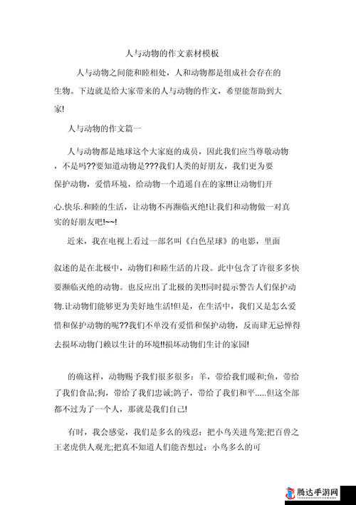 美国人与动物和谐相处:探讨人类与动物关系的重要性及其影响