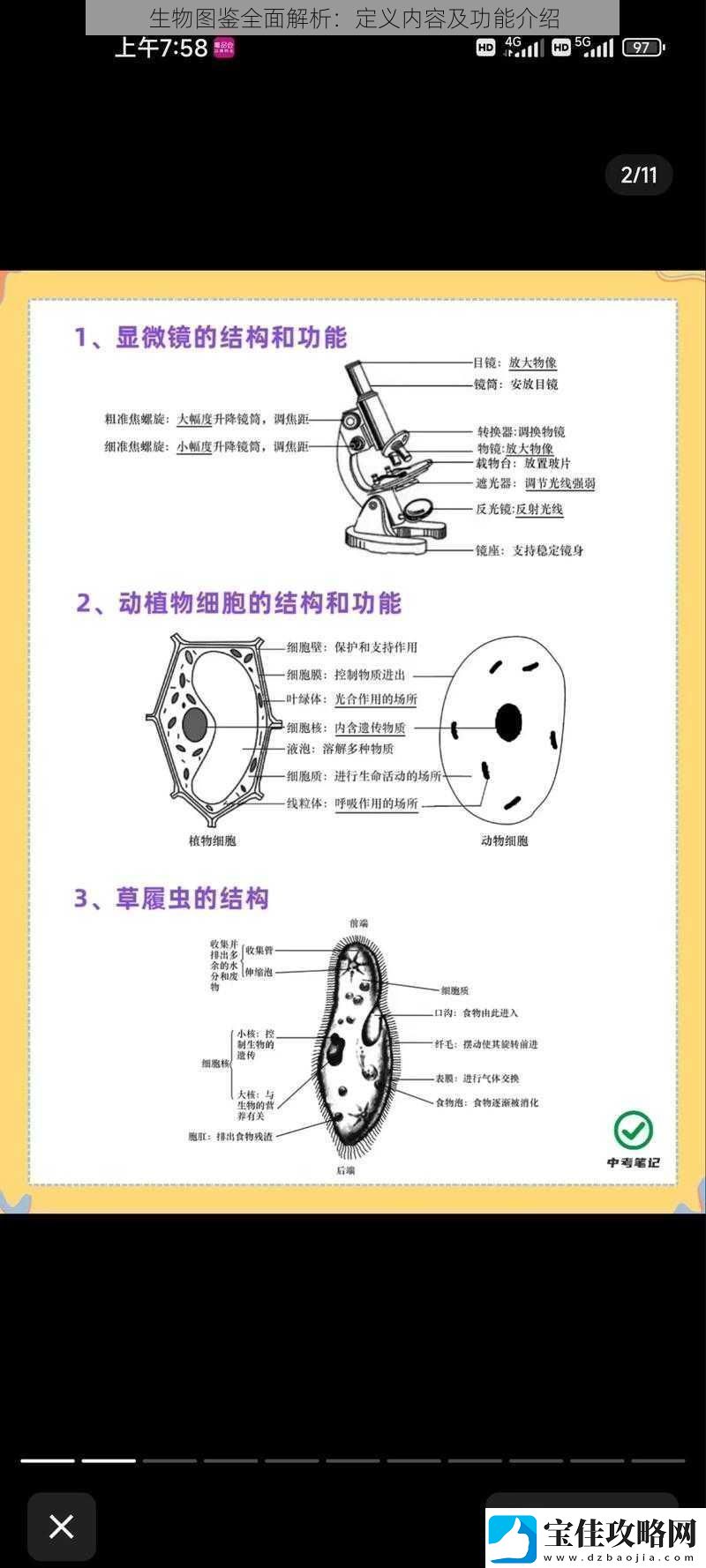 生物图鉴全面解析