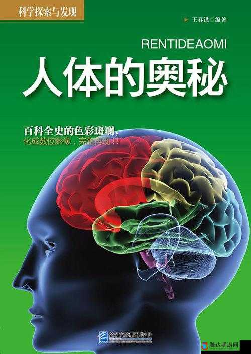 做 B 超医生暗示:探寻身体奥秘的神秘指引