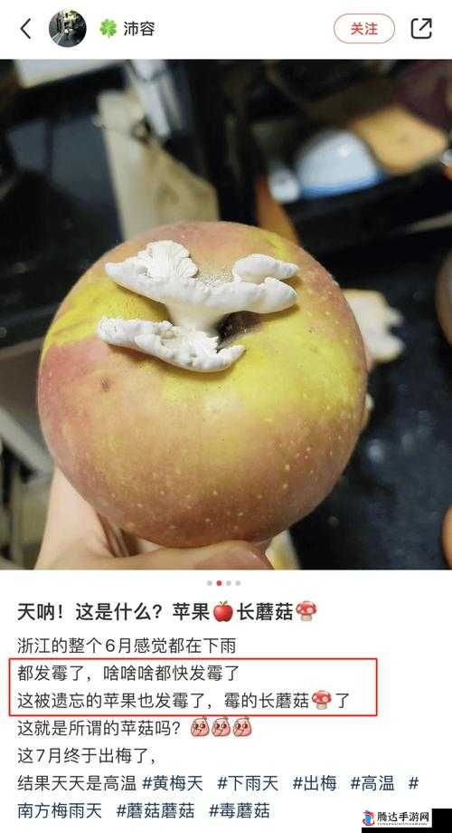 17c 爆料独家揭秘蘑菇的惊人内幕