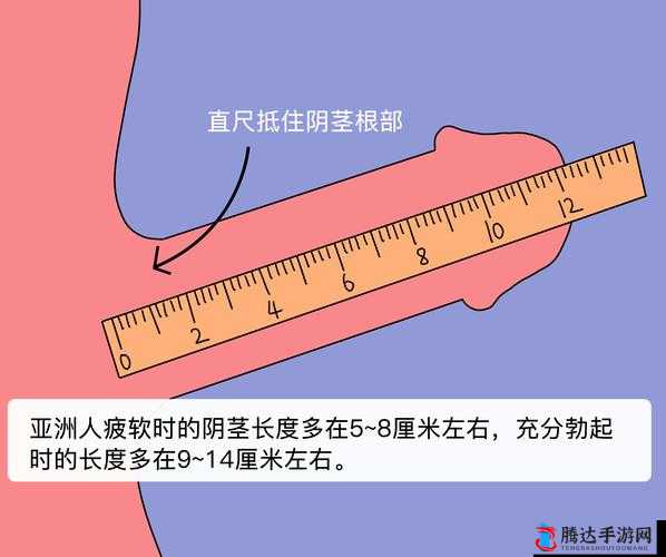 尺寸之选：**多大才合适？